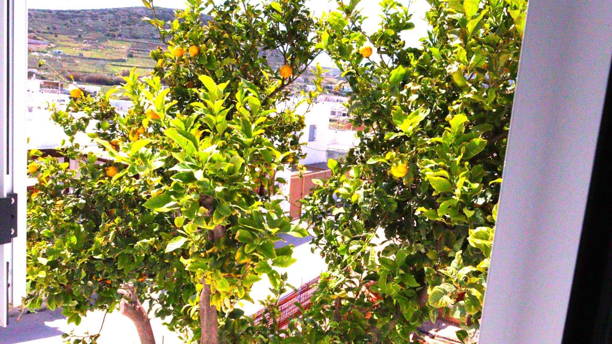 Lemon Tree Maisonette - Naoussa Paros Dış mekan fotoğraf
